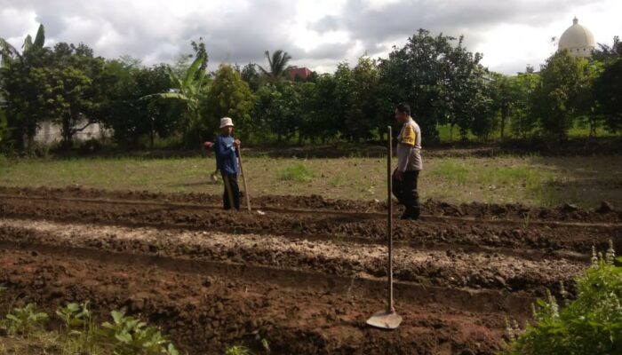 Bhabinkamtibmas Kediri Dorong Ketahanan Pangan di Plowok Selatan