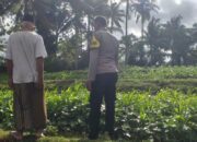 Pemanfaatan Pekarangan untuk Ketahanan Pangan di Dusun Pelan