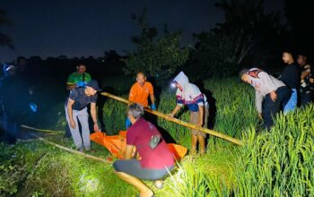 Polisi Temukan Jenazah Lansia di Sawah Kediri, Keluarga Tolak Autopsi