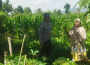 Bhabinkamtibmas Desa Kediri Dorong Ketahanan Pangan Bersama Petani Karang Kuripan