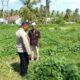 Kunjungi Petani di Sekotong, Polri Tekankan Pemanfaatan Lahan Demi Kedaulatan Pangan