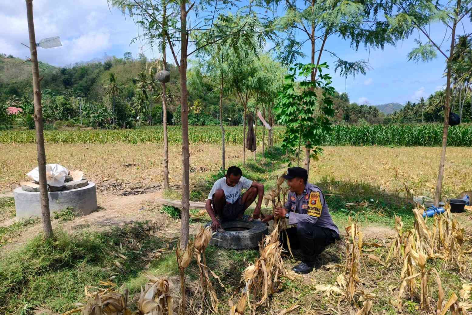 Dukung Ketahanan Pangan, Bhabinkamtibmas Lembar Beri Semangat Petani Jagung di Eyat Mayang