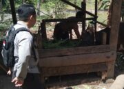 Polsek Batulayar Ajak Warga Batulayar Barat Manfaatkan Lahan Kosong untuk Ketahanan Pangan