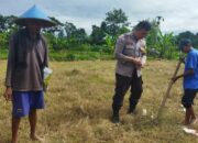 Bhabinkamtibmas Telagawaru Ajak Warga Manfaatkan Pekarangan Dukung Ketahanan Pangan