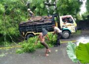 Respon Cepat Polsek Rasanae Timur, Evakuasi Pohon Tumbang dan Atur Arus Lalin di Mangge Pambu