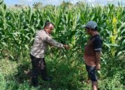 Bhabinkamtibmas Labuapi Dorong Warga Lombok Barat Tanam Mandiri