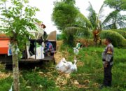 Polsek Lunyuk Gencarkan Patroli Dialogis, Jaga Rasa Aman Warga Padasuka di Tengah Aktivitas