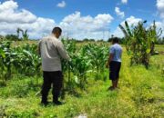 Dukung Ketahanan Pangan, Bhabin Labuapi Ajak Petani Jagung Jual ke Bulog