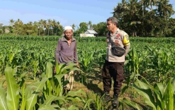 Polsek Batulayar Dorong Swasembada Pangan di Desa Sandik