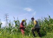 Polres Lobar Dorong Pemanfaatan Lahan di Kuranji Dalang