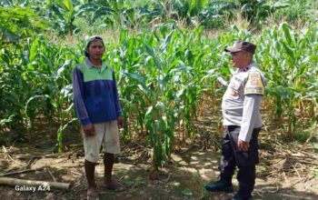 Sinergi Bhabinkamtibmas dan Petani Gerung Wujudkan Swasembada Pangan
