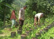 Polri Dorong Ketahanan Pangan di Lombok Barat Melalui Pekarangan