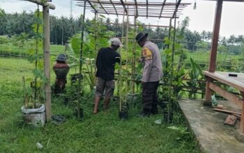 Bhabinkamtibmas Edukasi Warga Manfaatkan Lahan Produktif