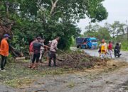 Pastikan Jalur Utama Aman, Polsek Buer Pimpin Evakuasi Pohon Tumbang di Desa Tarusa