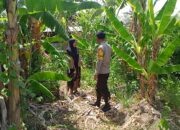 Bhabinkamtibmas Desa Pamanto Motivasi Warga Wujudkan Ketahanan Pangan Mandiri