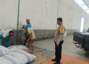 Polsek Gerung Pantau Stok Jagung di Desa Beleka