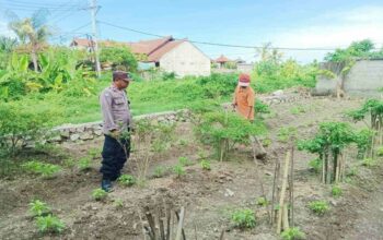 Polri Dampingi Warga Dusun Bantir Budidaya Palawija di Pekarangan
