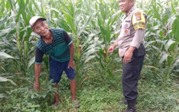 Langkah Polres Lombok Barat Tingkatkan Produktivitas Pangan Desa