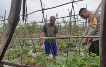 Polri Kawal Ketahanan Pangan di Kuranji Dalang Lombok Barat