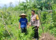 Polres Lobar Dampingi Petani Beleke Wujudkan Swasembada Pangan