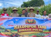 Dukung Kedaulatan Pangan, Polres Lombok Barat Bina 35 Hektar Lahan di Sekotong