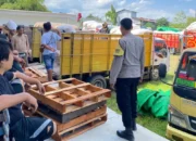 Sinergi Kawal Ketahanan Pangan: Puluhan Ribu Ton Jagung Petani Sekotong Mulai Banjiri Gudang Bulog Mataram