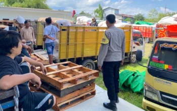 Sinergi Kawal Ketahanan Pangan: Puluhan Ribu Ton Jagung Petani Sekotong Mulai Banjiri Gudang Bulog Mataram