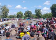 Pastikan Keamanan Tradisi Barapan Kebo, Polsek Lape Siagakan Personel di Jalur Lintas Sumbawa-Bima