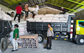 Polisi Kawal Ketat Distribusi Belasan Ton Jagung Mareje Timur ke Gudang Bulog