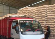 Lombok Barat Amankan Stok Pangan, Polisi Kawal Ketat Distribusi Puluhan Ton Jagung Petani ke Gudang Bulog