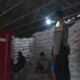 Update Distribusi Jagung Poktan Bina Karya ke Gudang Bulog