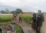 BHABINKAMTIBMAS POLSEK WOJA DUKUNG KETAHANAN PANGAN WARGA MELALUI PEMANTAUAN LAHAN PADI
