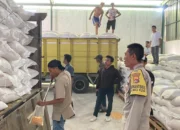 Pastikan Harga Stabil, Ribuan Ton Jagung dari Desa Batu Putih Dikawal Polisi Menuju Bulog