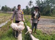 Sinergi Polsek Labuapi dan Petani Jaga Ketahanan Pangan
