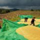 Sukseskan Program Asta Cita, Polsek Sekotong Sasar Petani