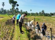 Dukung Ketahanan Pangan, Bhabinkamtibmas Desa Barejulat Tinjau Masyarakat Binaan