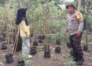 Lahan Sempit Bukan Halangan, Bhabinkamtibmas Bagik Polak Barat Sulap Pekarangan Jadi Sumber Pangan Mandiri