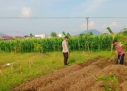 Wujudkan Kemandirian Agraria, Personel Polsek Labuapi Turun Langsung Dampingi Petani Olah Lahan Produktif
