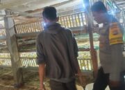 Kemandirian Pangan Desa Beleke: Sinergi Bhabinkamtibmas dan Peternak Lokal demi Stabilitas Ekonomi