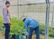 Bhabinkamtibmas Bajur Ajak Warga Manfaatkan Lahan Pekarangan