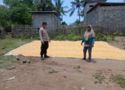 Bhabinkamtibmas Desa Mbuju Pantau Penjemuran Jagung Warga, Dukung Program Ketahanan Pangan Nasional