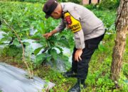 Dukung Program Asta Cita, Bhabinkamtibmas Monitoring Ketahanan Pangan Warga Binaan