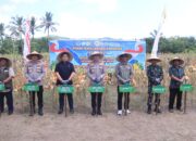 Polda NTB Gelar Panen Raya Jagung Serentak, Dukung Ketahanan Pangan Nasional