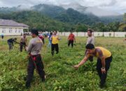 Bhabinkamtibmas Kelurahan Menala Gotong Royong Bersama di Mako Polsubsektor Brang Ene