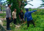 Lahan Sempit Jadi Aset, Cara Bhabinkamtibmas Desa Perampuan Bangkitkan Kemandirian Pangan Warga