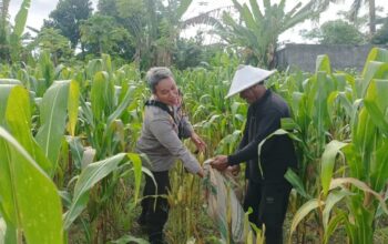 Dukung Ketahanan Pangan, Bhabinkamtibmas Sandik Edukasi Warga Manfaatkan Pekarangan