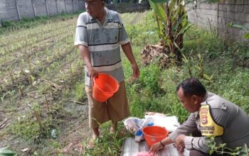 Bhabinkamtibmas Labuapi Kawal Swasembada Pangan Desa