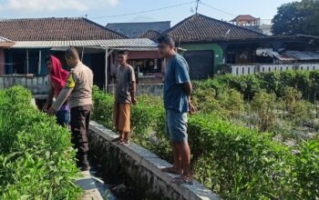 Bhabinkamtibmas Desa Masbagik Utara Kontrol Tanaman Warga untuk Dukung Ketahanan Pangan dan Jaga Kamtibmas
