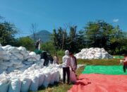 BHABINKAMTIBMAS DESA WOKO PANTAU PROSES PENGGILINGAN DAN PENJEMURAN JAGUNG.