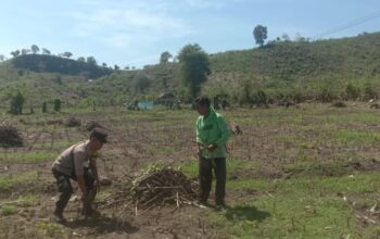 BHABINKAMTIBMAS DESA RABABAKA DORONG PETANI SIAP HADAPI MUSIM TANAM, DUKUNG KETAHANAN PANGAN DAERAH